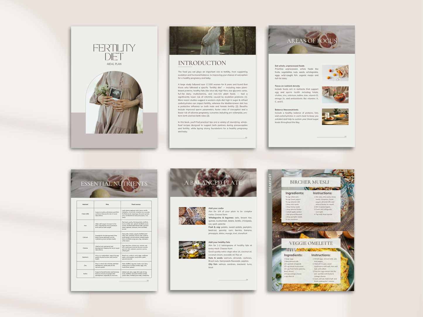 Canva fertility meal guide template for clients
