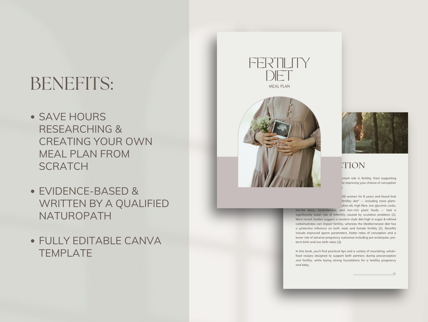 Editable fertility nutrition plan for holistic practitioners