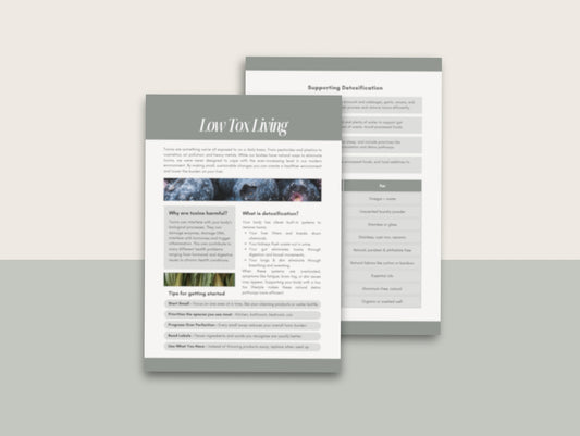 Low-Tox Living Handout