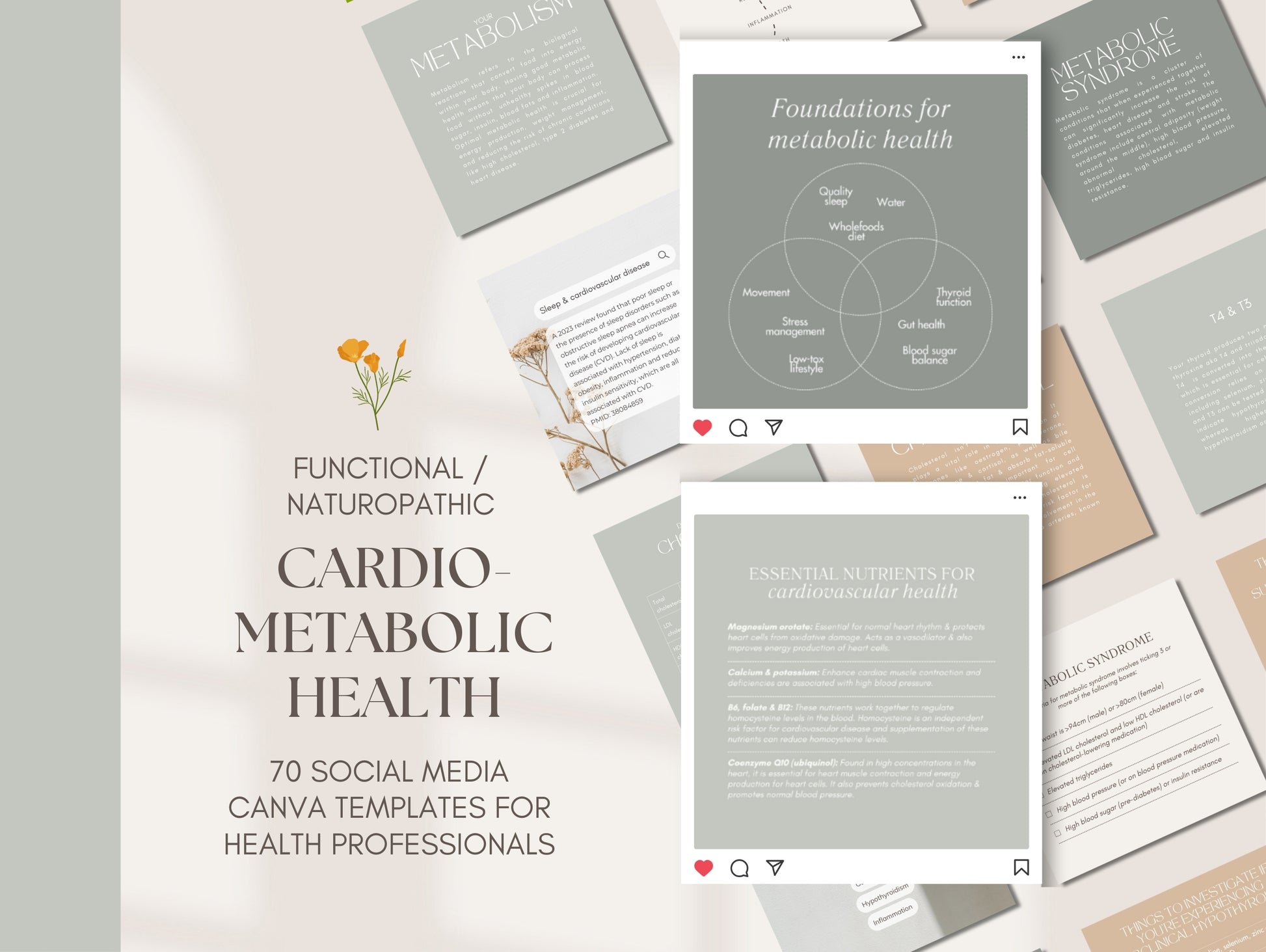 Cardio metabolic Canva Instagram templates for naturopaths, ND's, Nutritionists