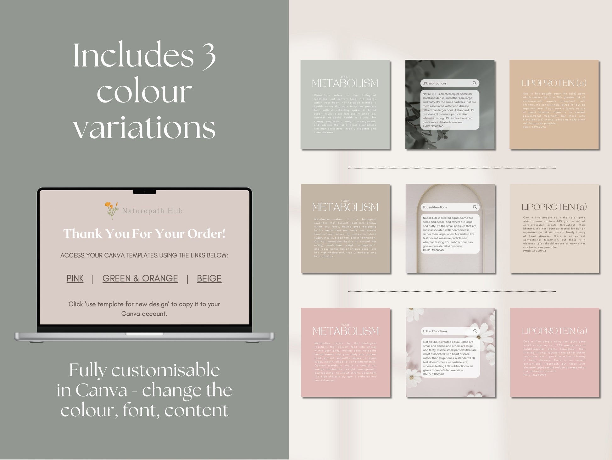Canva Instagram posts for cholesterol, insulin resistance & heart health