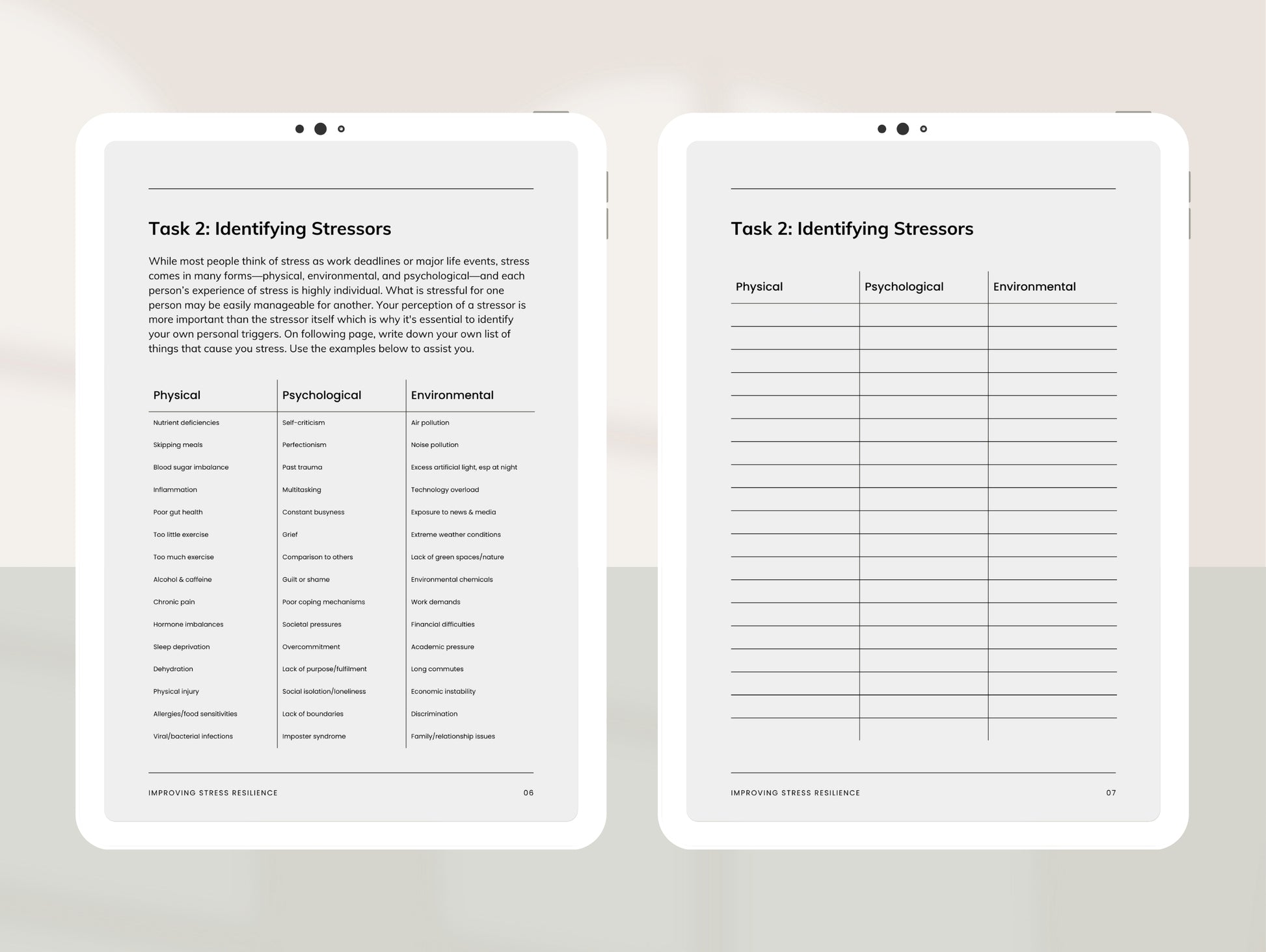 PLR stress masterclass template for holistic practitioners