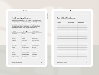 PLR stress masterclass template for holistic practitioners
