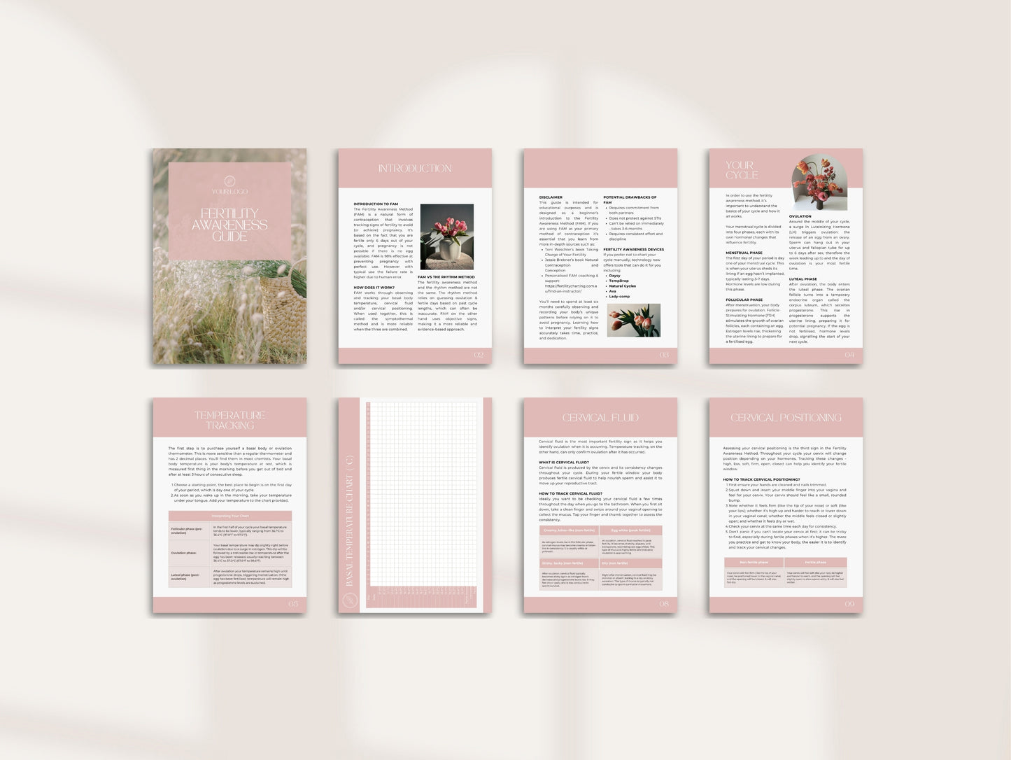 Fertility Awareness Patient Handout