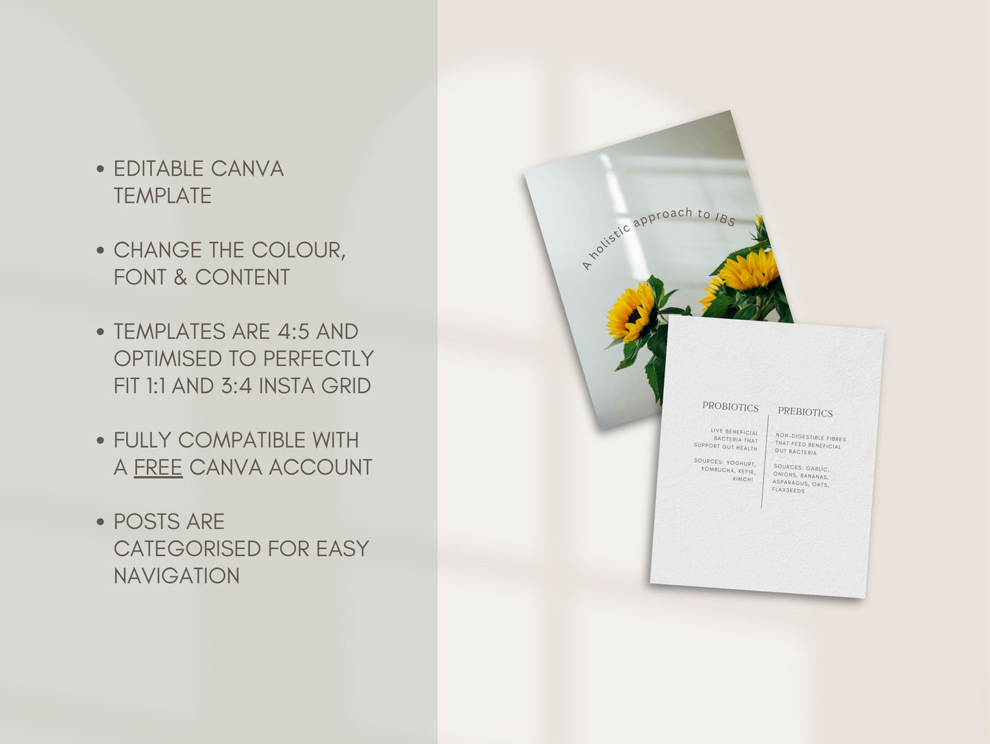 Gut Health Instagram Canva Templates