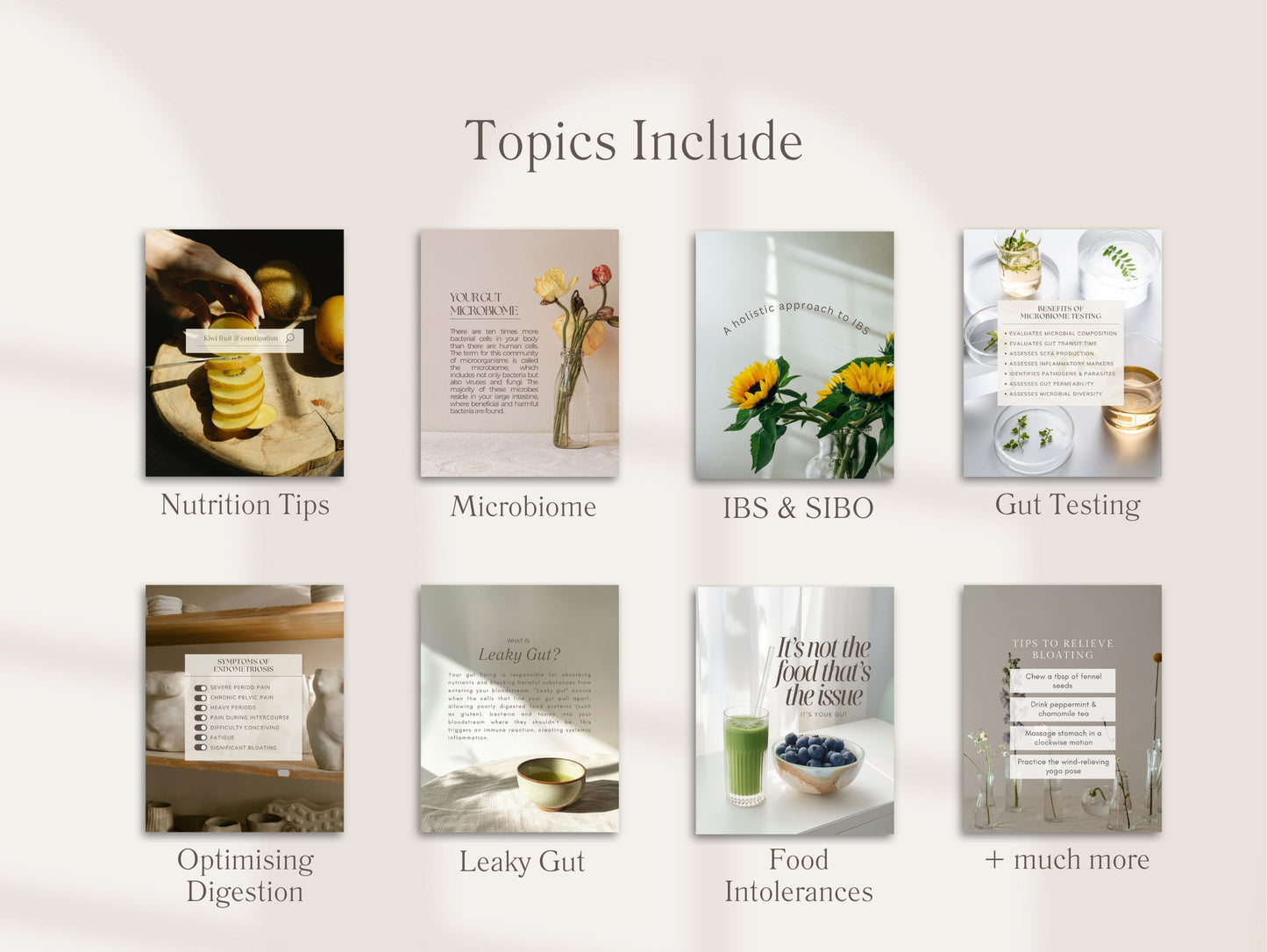 Gut Health Instagram Canva Templates