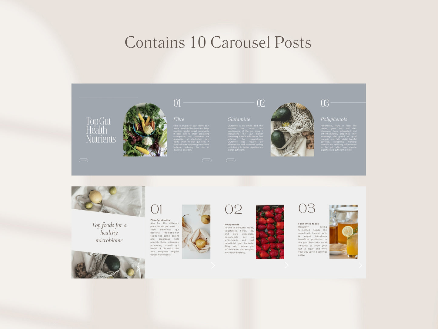 Gut Health Instagram Canva Templates