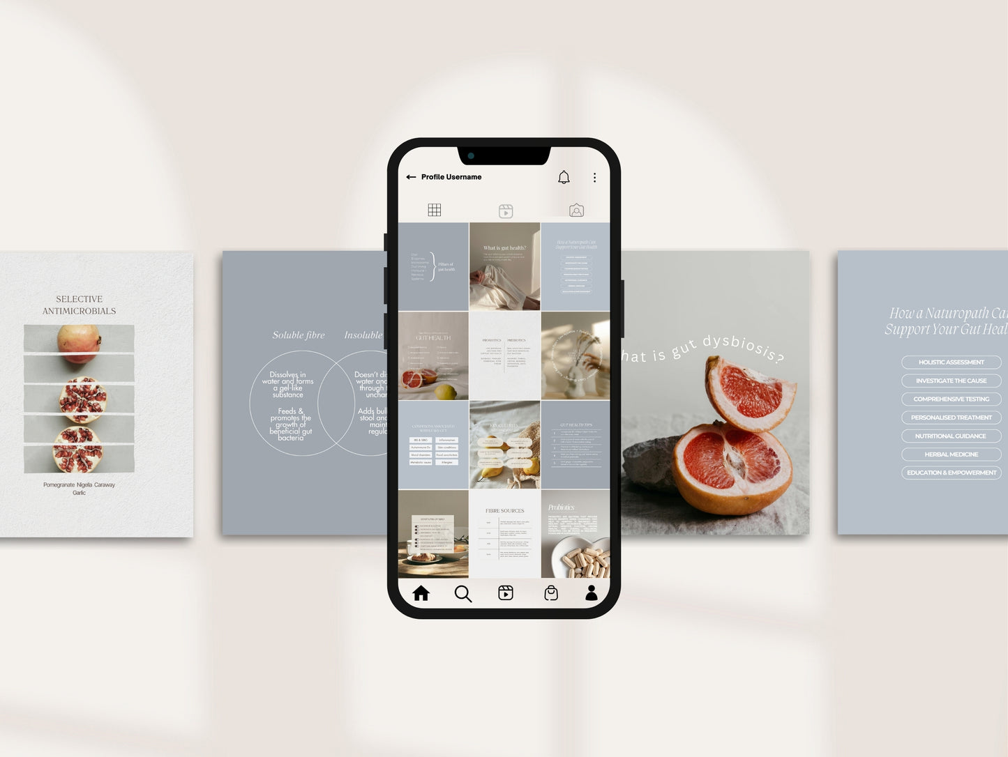 Gut Health Instagram Canva Templates