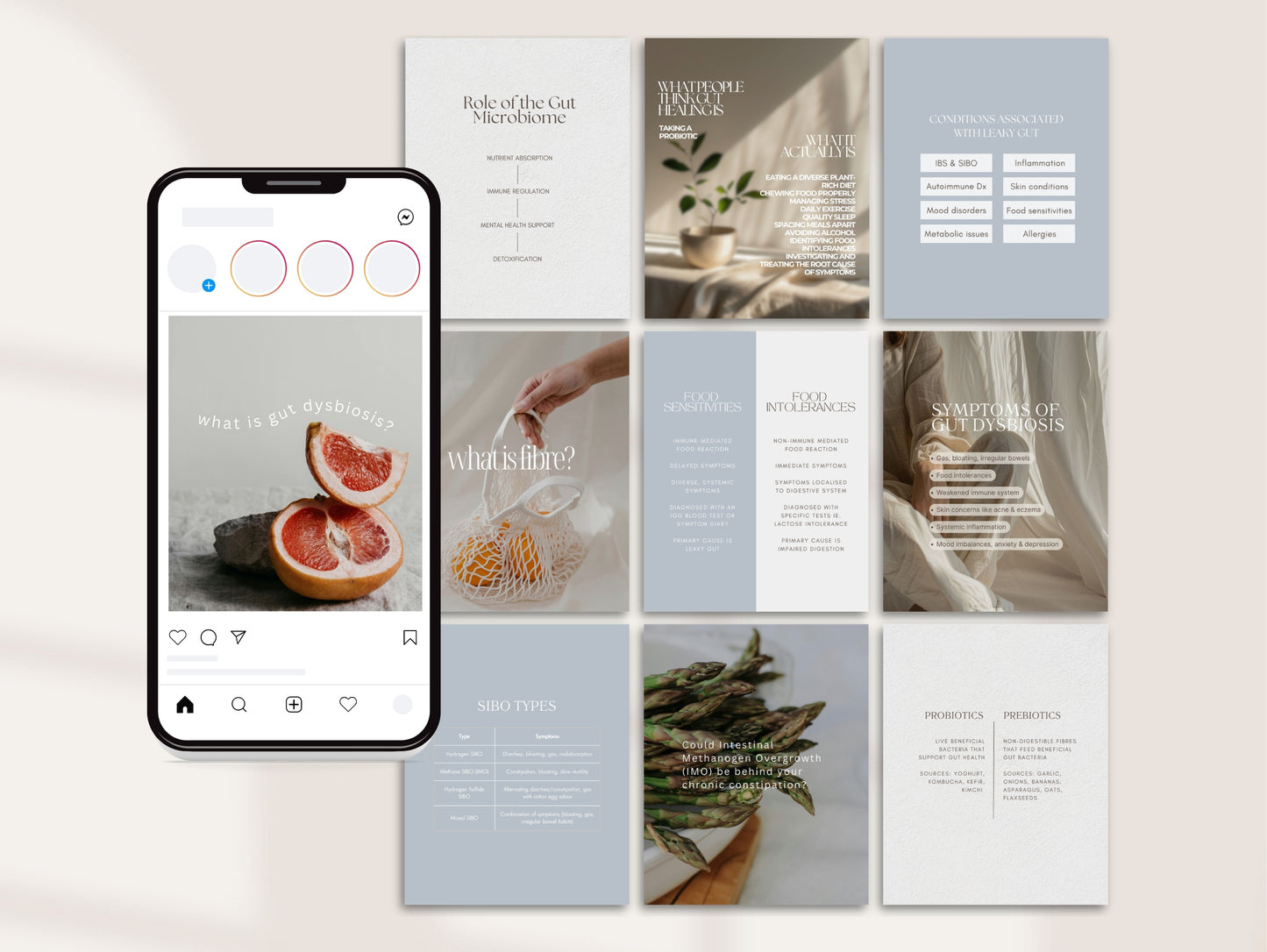 Gut Health Instagram Canva Templates