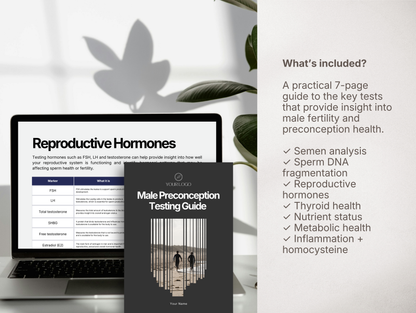 Male Preconception Testing Guide