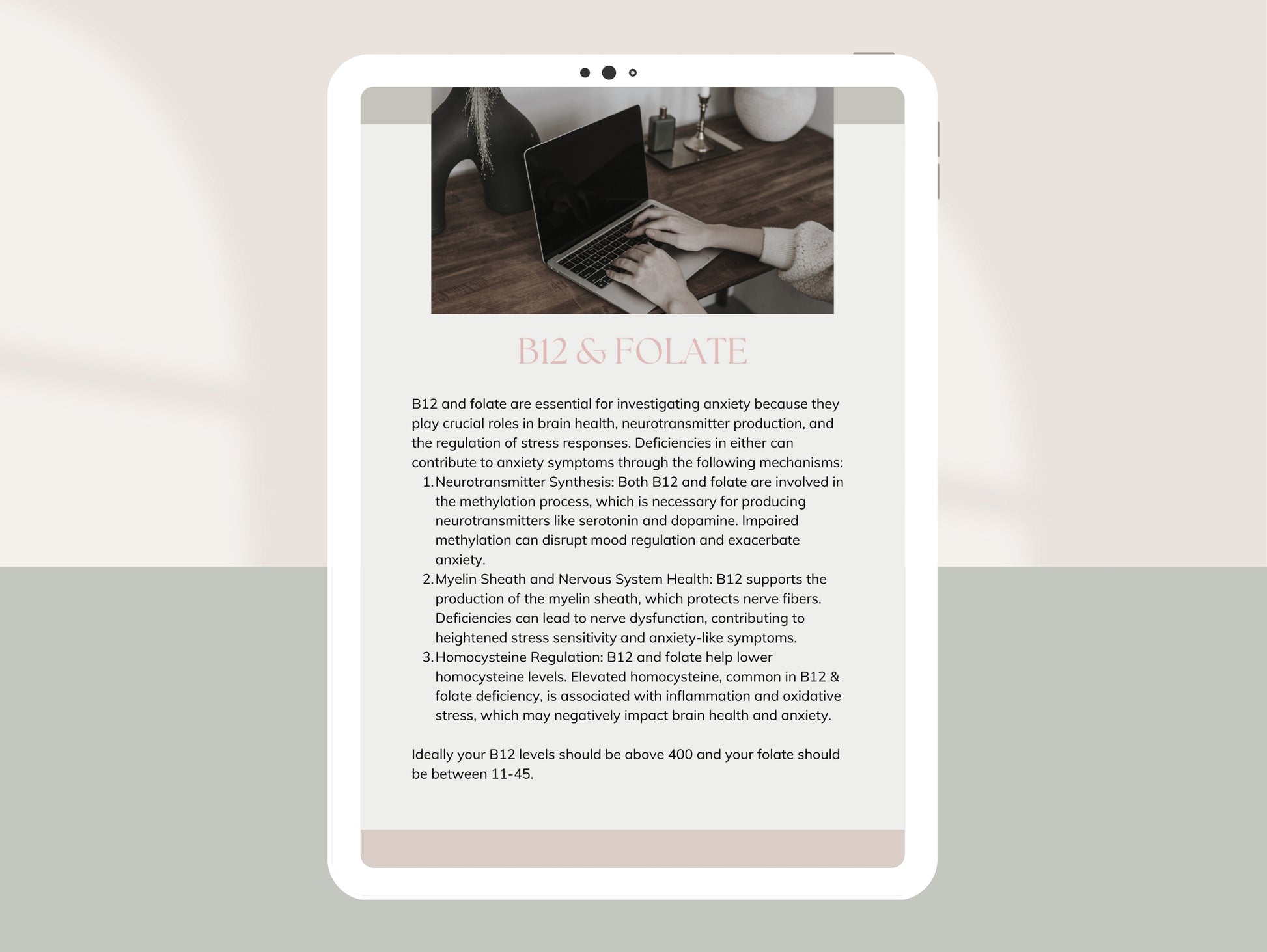 Comprehensive anxiety blood test recommendations lead magnet PDF
