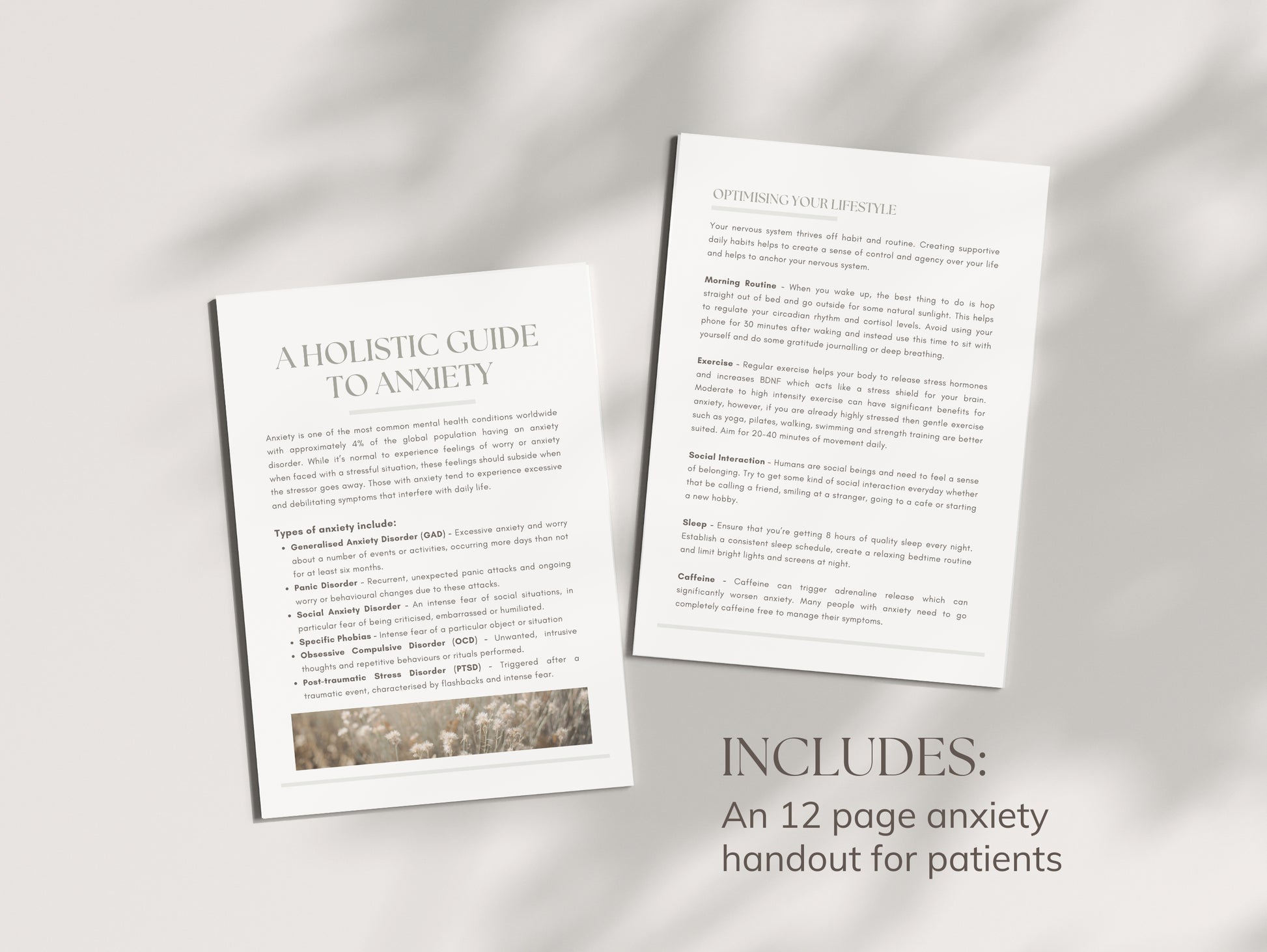 Done-for-you anxiety guide for holistic health professionals and nutritionists