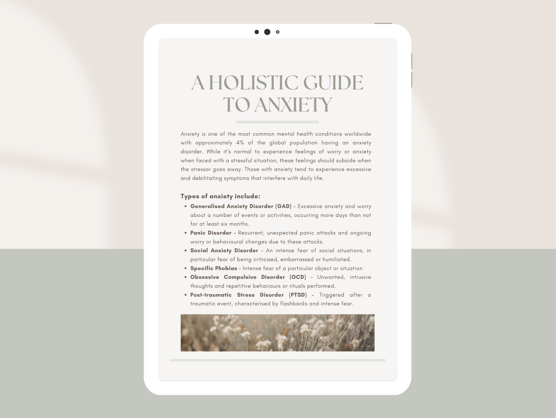 Comprehensive anxiety management booklet for naturopaths and dietitians