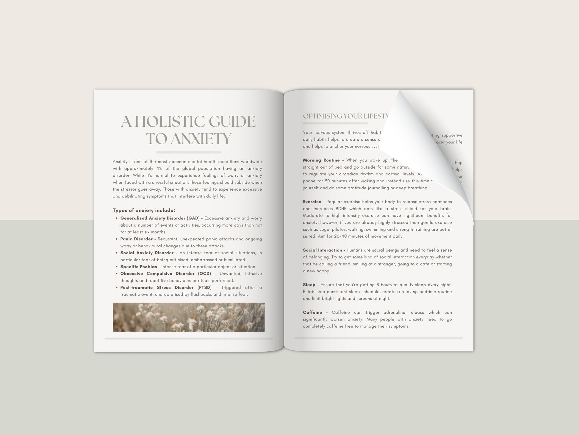 Anxiety patient booklet for naturopaths and functional medicine practitioners