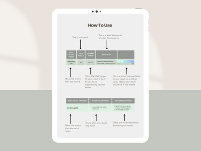 Client blood test results explanation Canva template for nutritionists