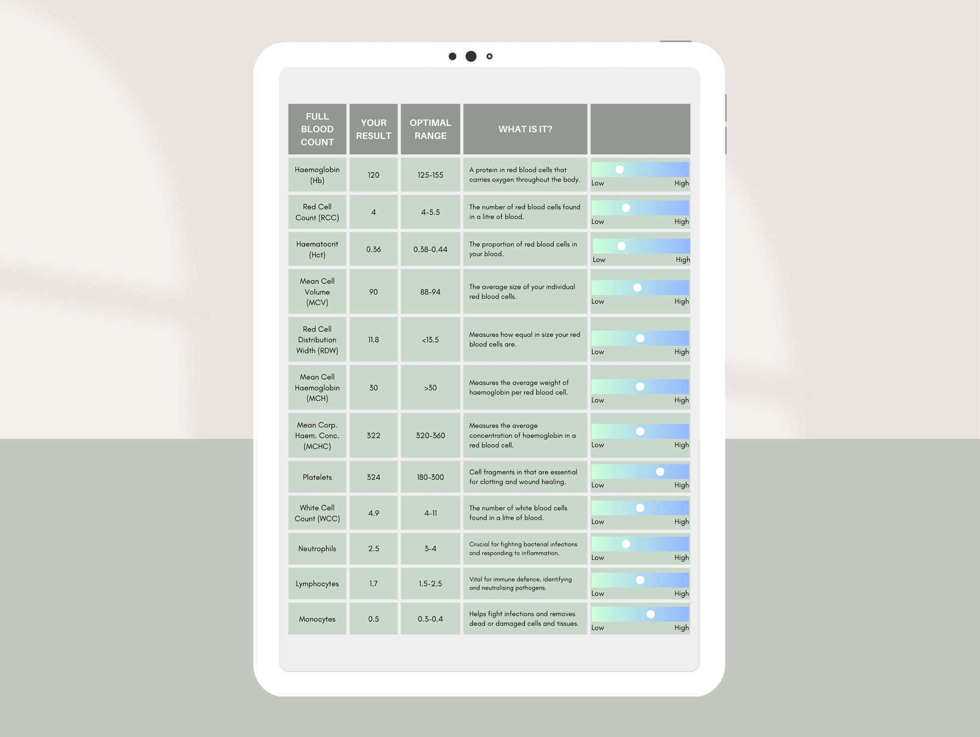 Canva blood test review report for nutritionists, naturopaths, and functional medicine practitioners