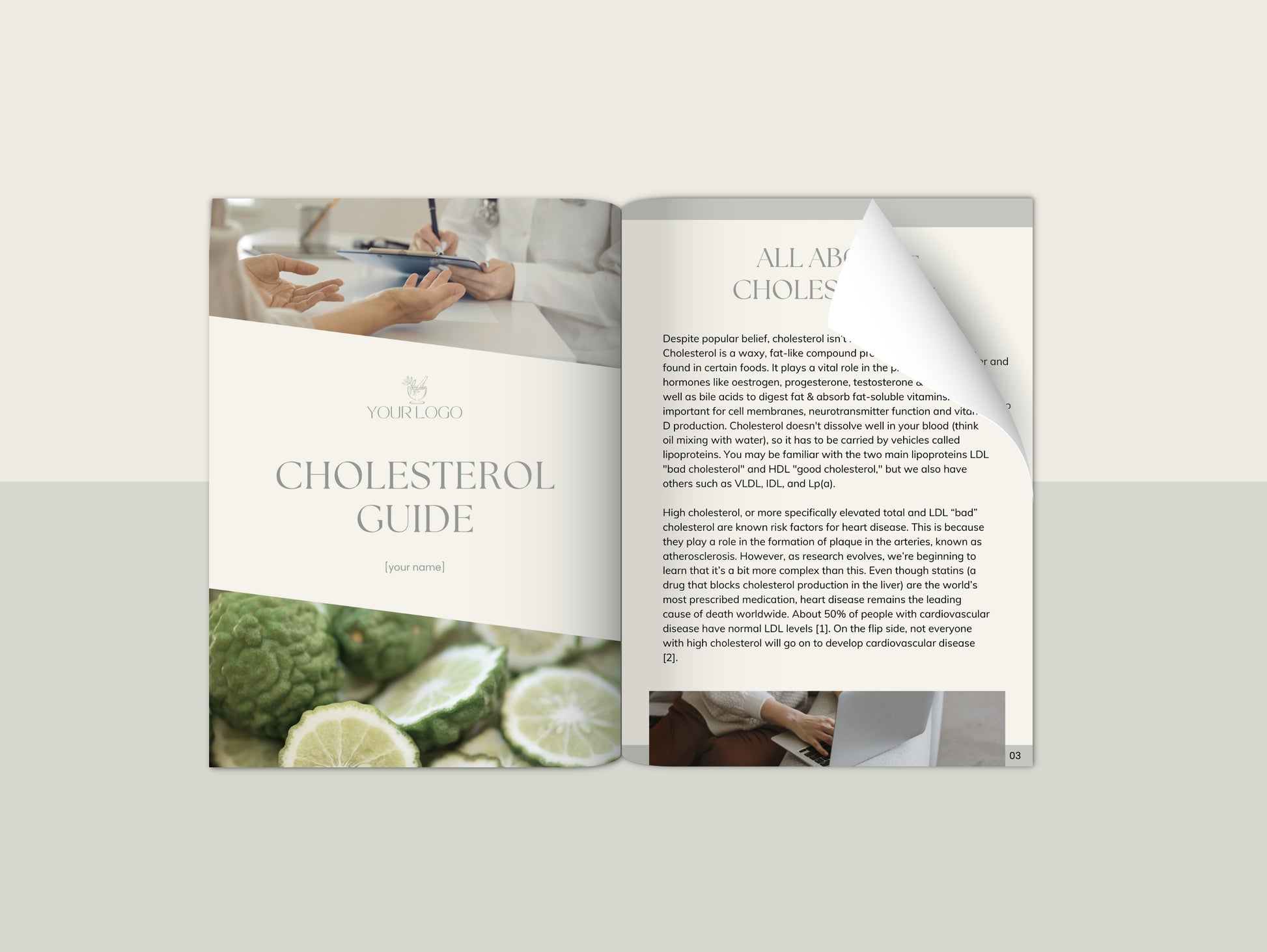 Cholesterol booklet for naturopaths and functional medicine practitioners