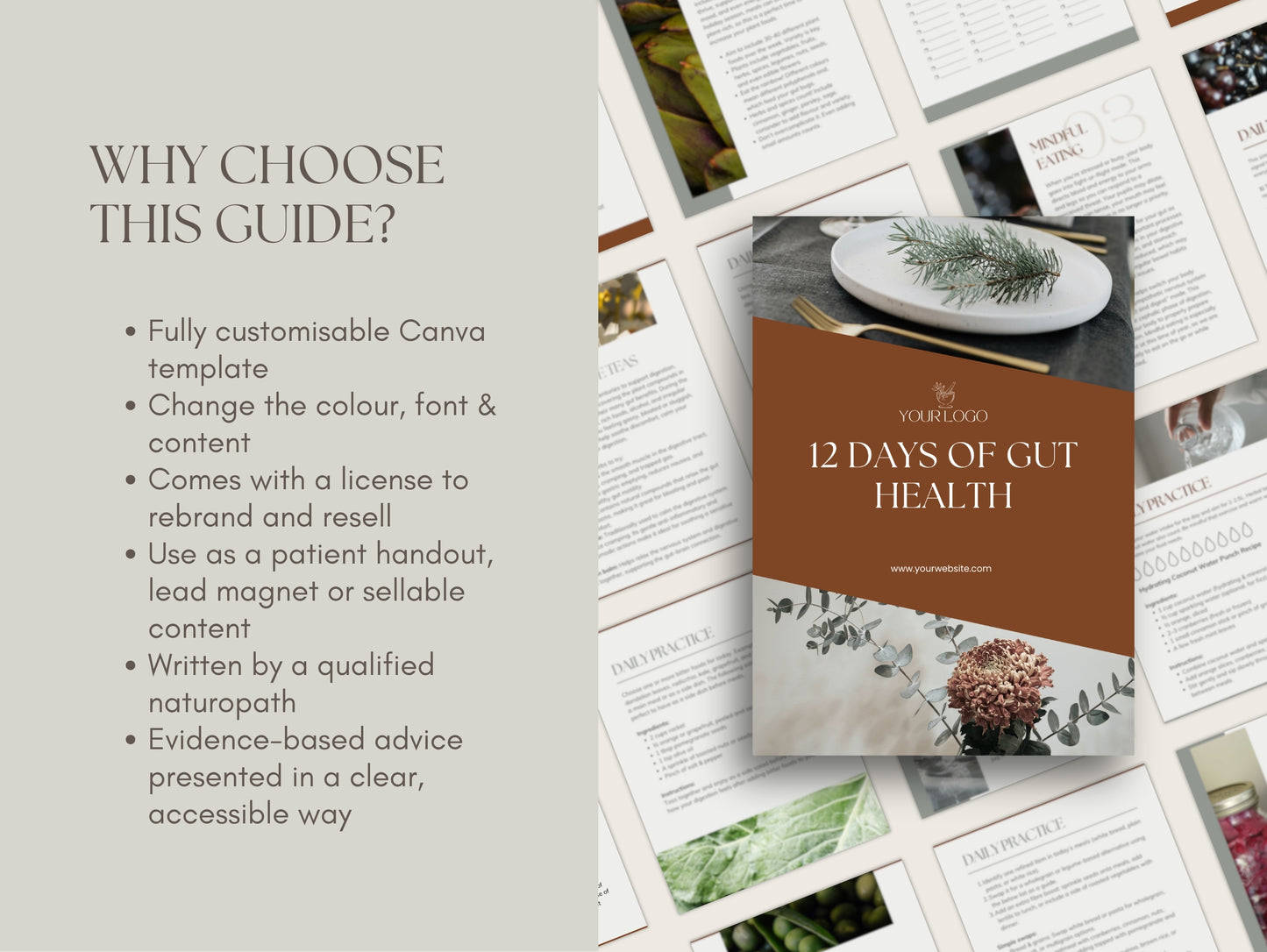 12 Days of Gut Health Booklet