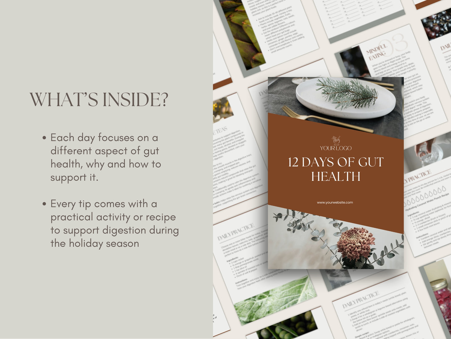 12 Days of Gut Health Booklet