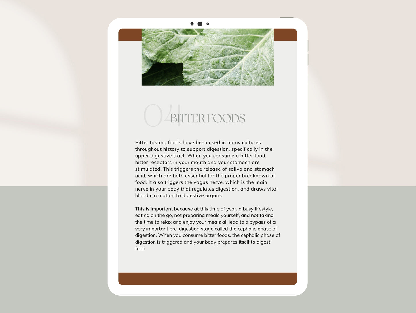 12 Days of Gut Health Booklet