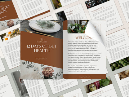 12 Days of Gut Health Booklet