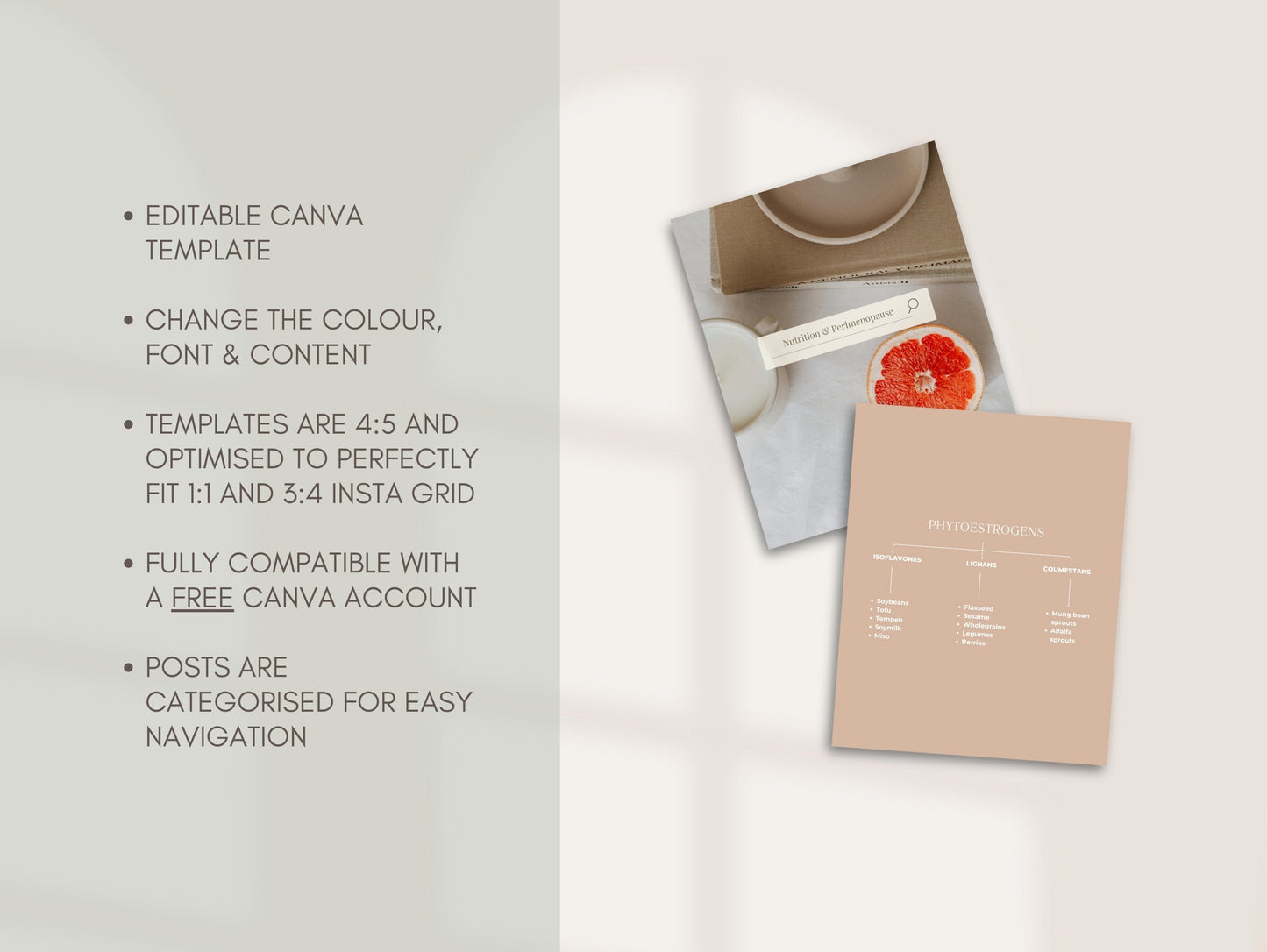 Perimenopause Instagram Canva Templates