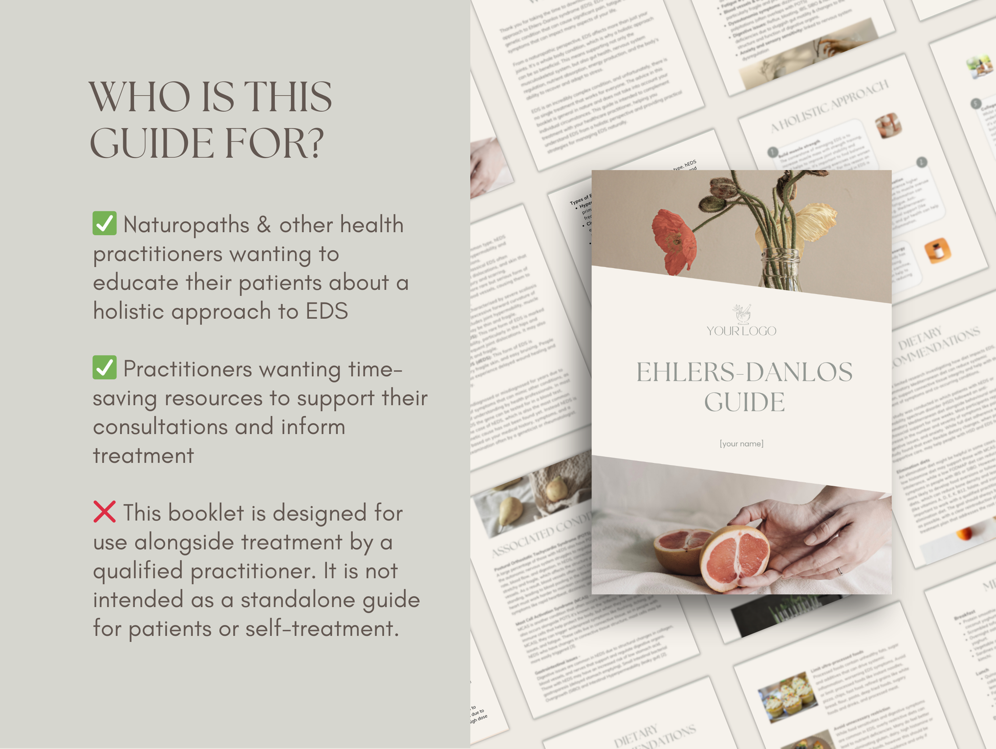 Holistic EDS patient info sheet Canva download