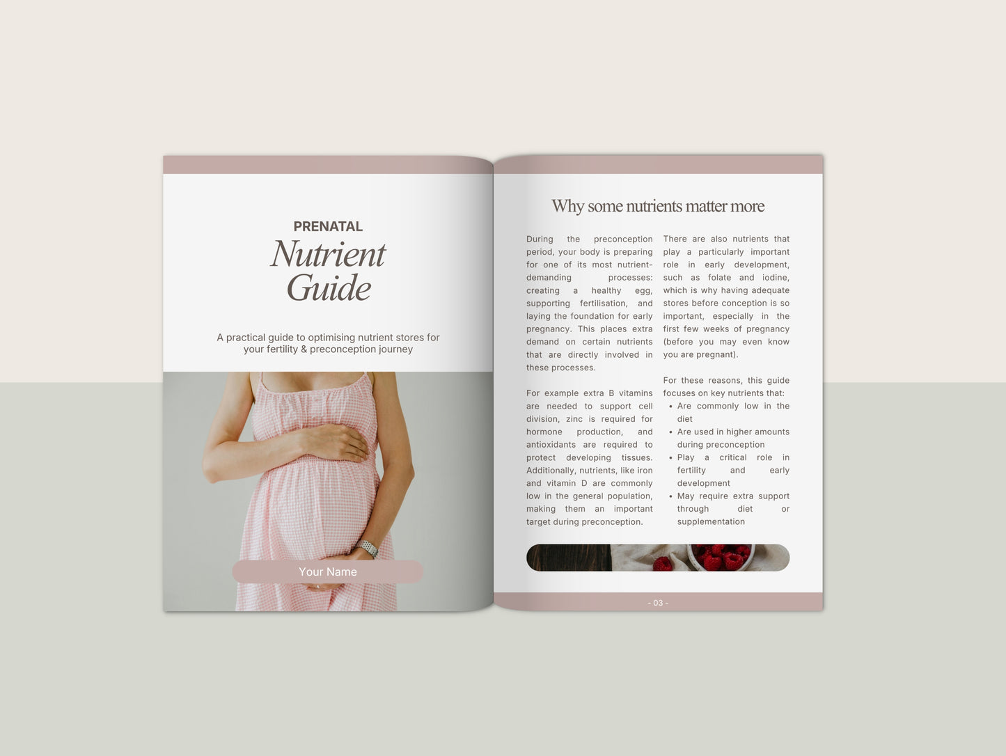 Prenatal Nutrient Guide