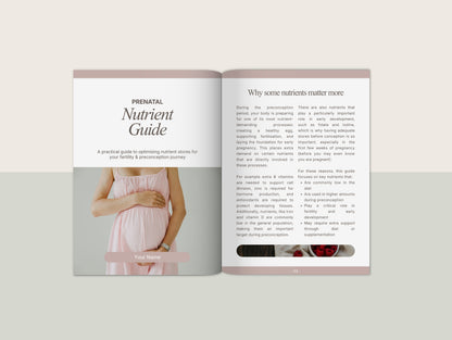Prenatal Nutrient Guide