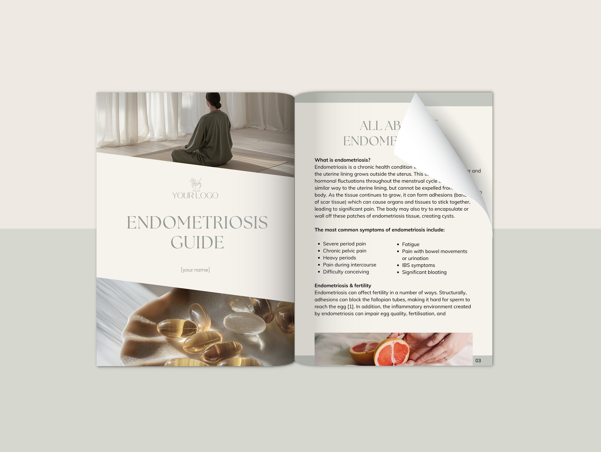Endometriosis booklet for naturopaths and functional medicine practitioners