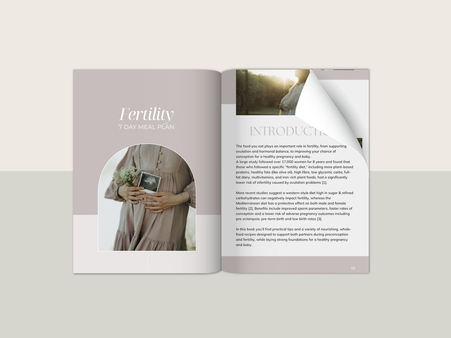 7 Day Fertility Meal Plan