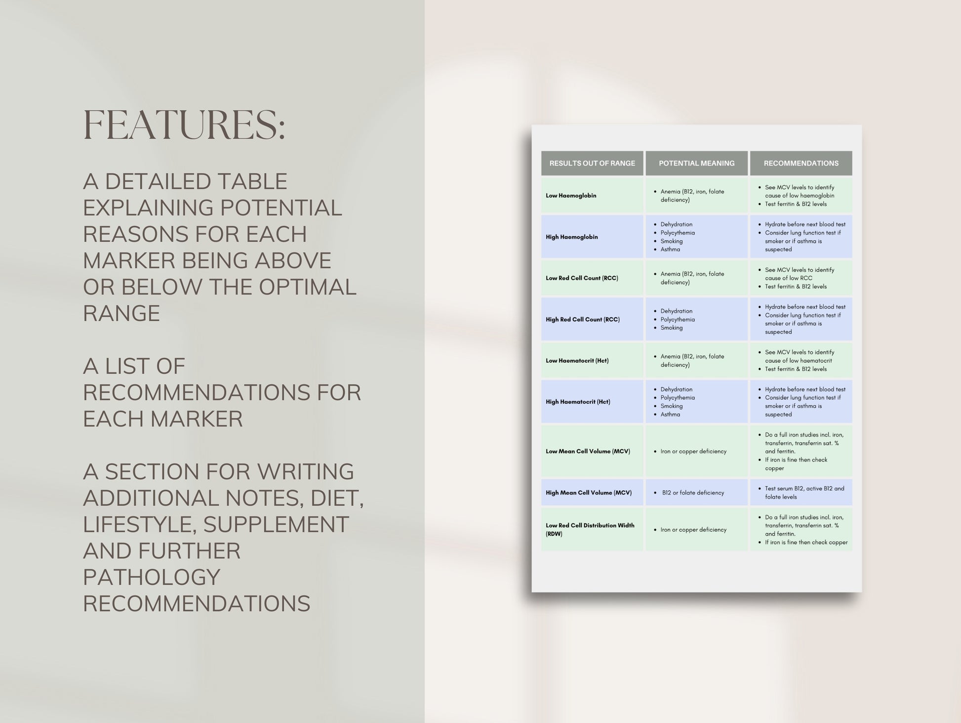 Patient-friendly blood work interpretation Canva form for wellness professionals
