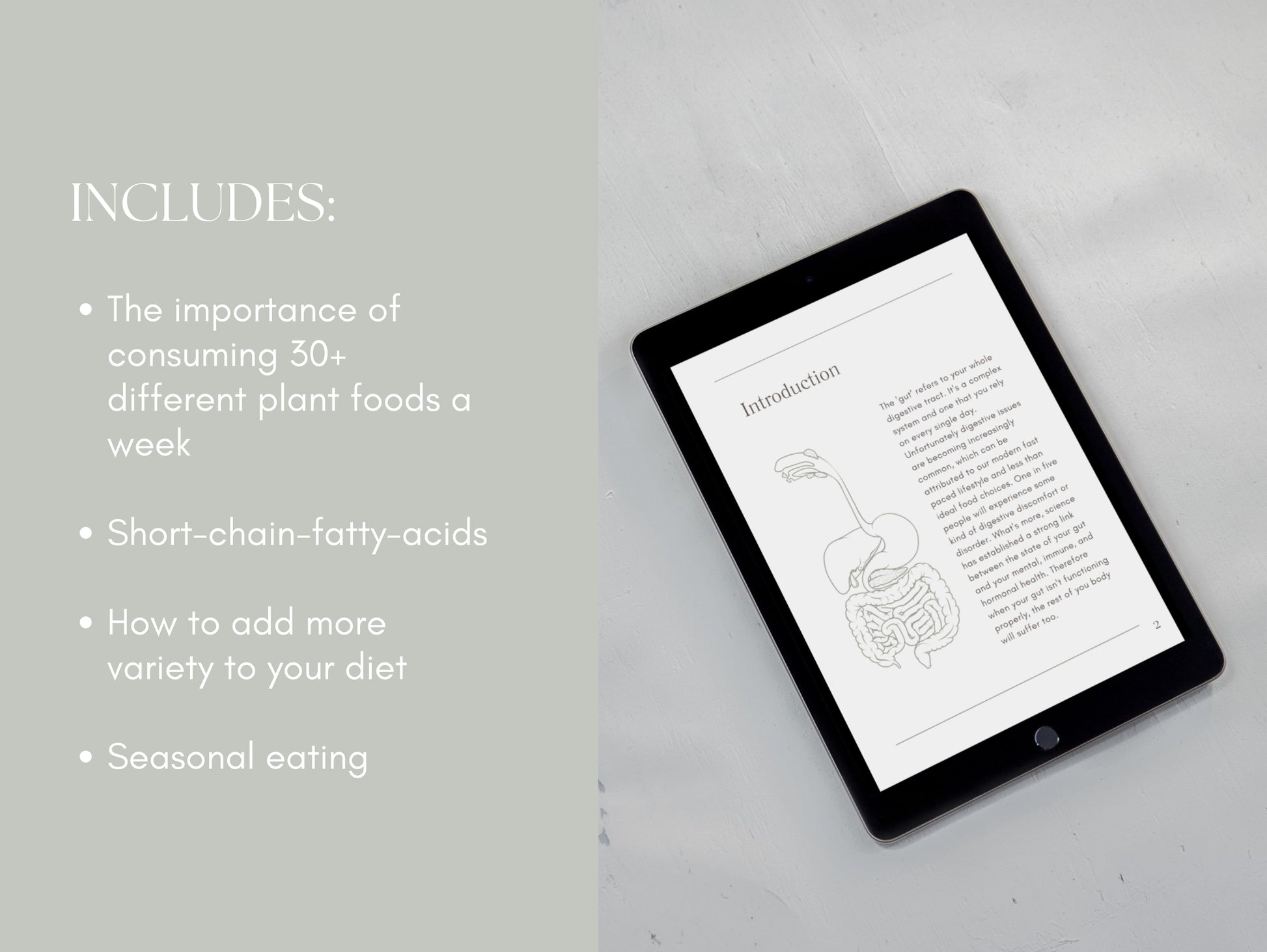 White label gut and digestion guide for holistic health professionals
