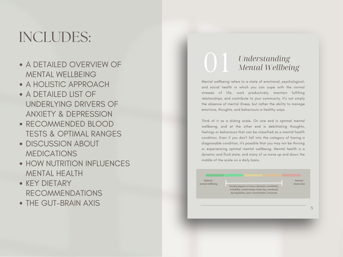 Done-for-you anxiety and depression eBook white-label template