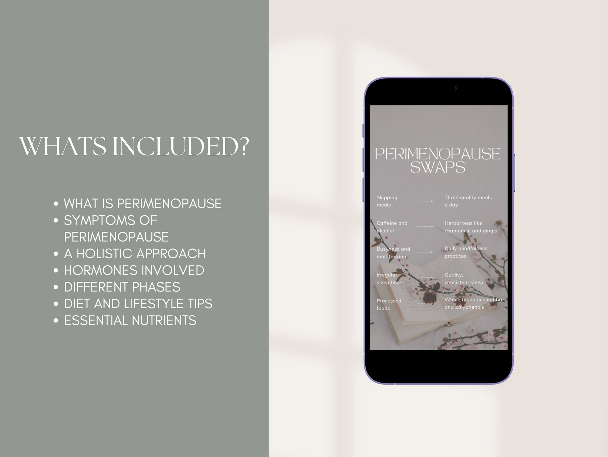 Editable perimenopause reels for nutritionists
