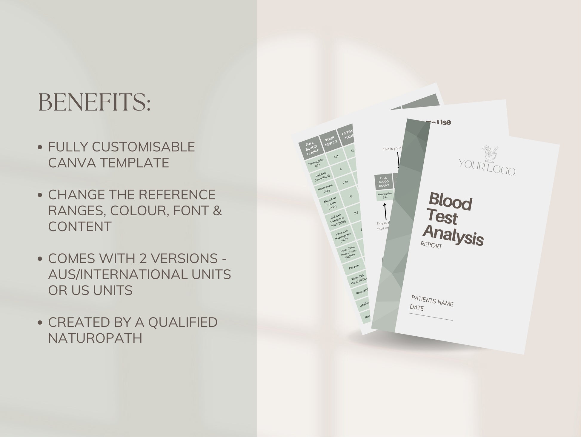 Editable functional lab report template for naturopathic consultations