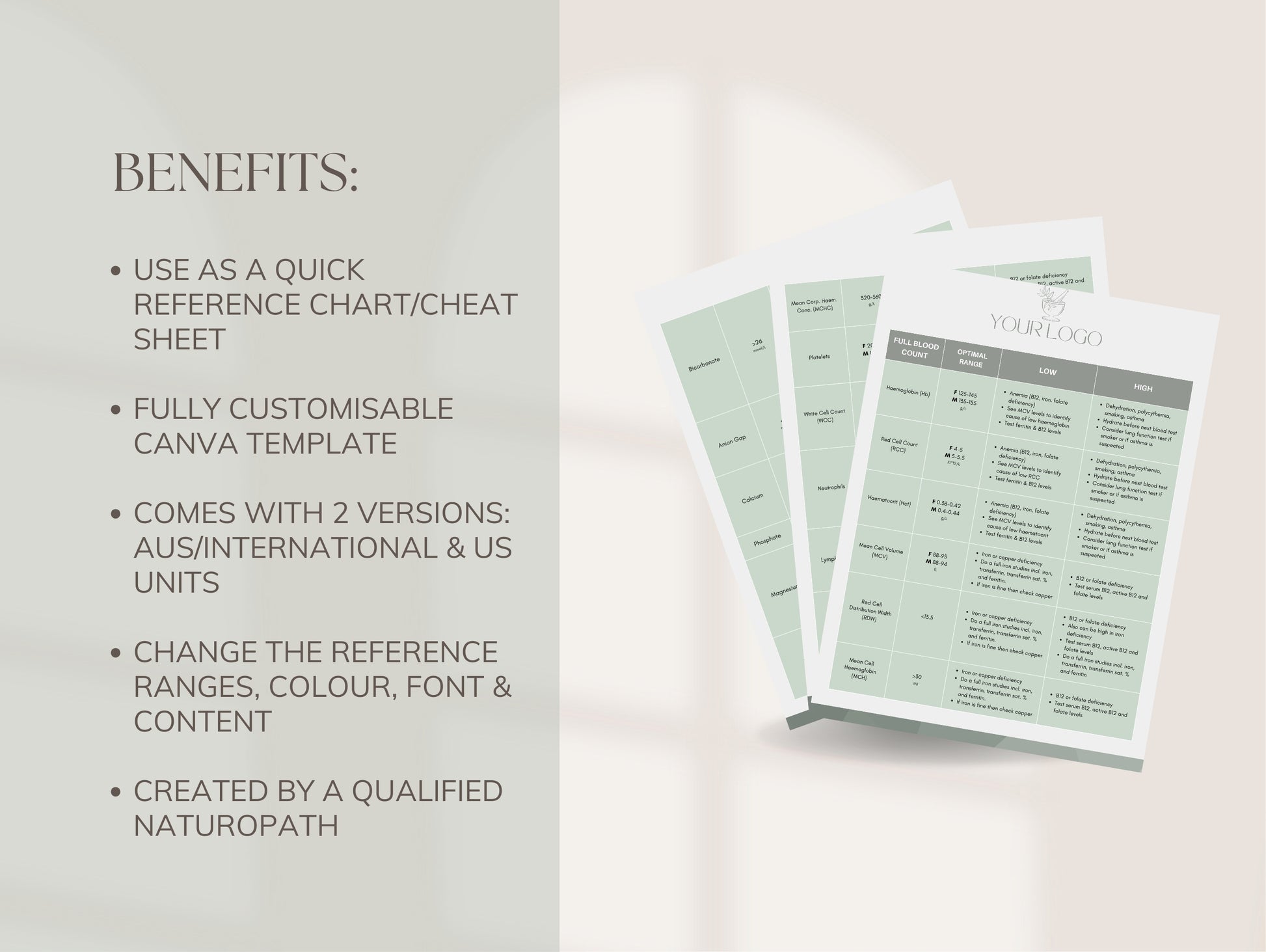 Canva blood work reference guide for holistic health practitioners