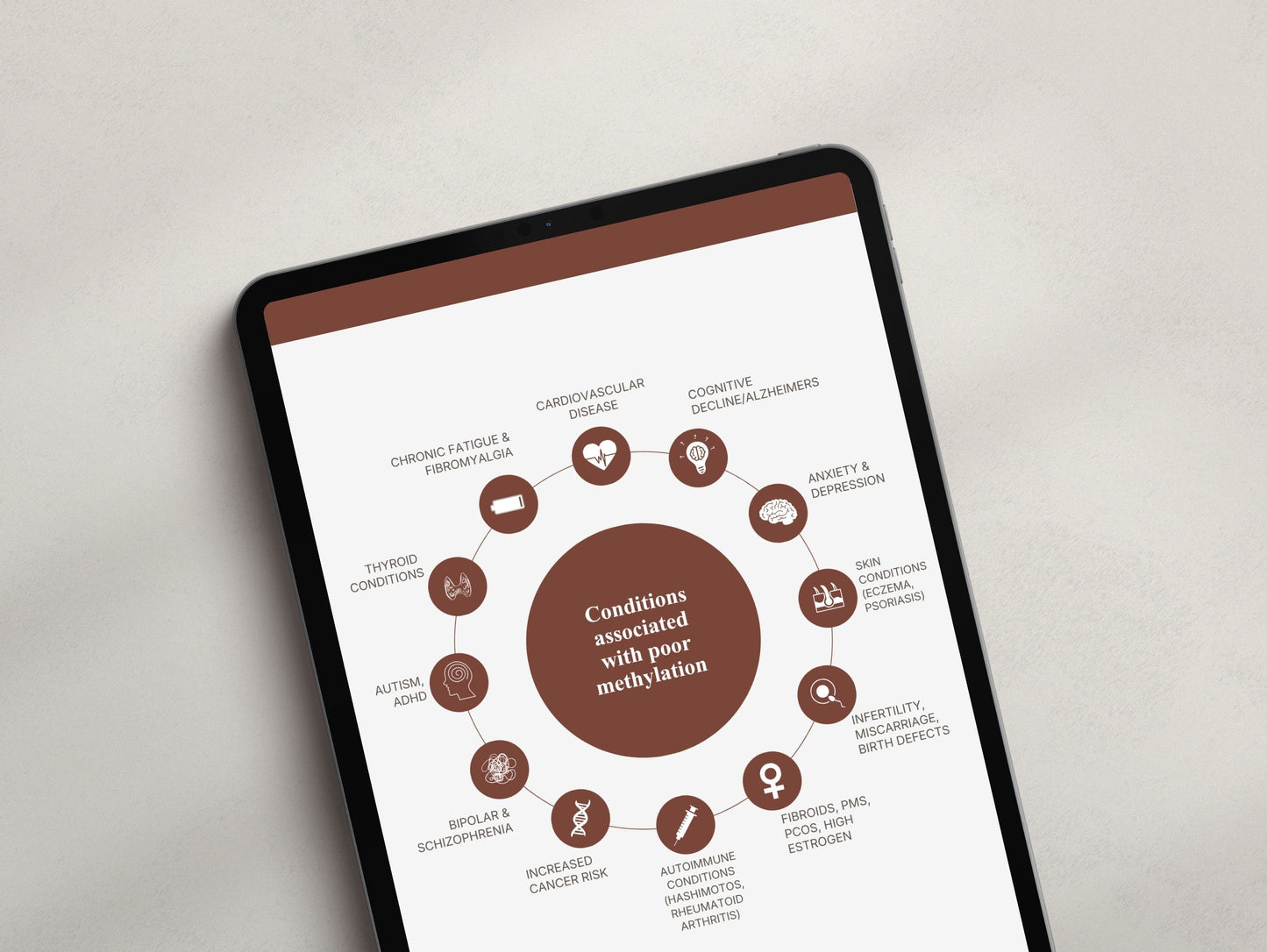 Methylation Patient Booklet