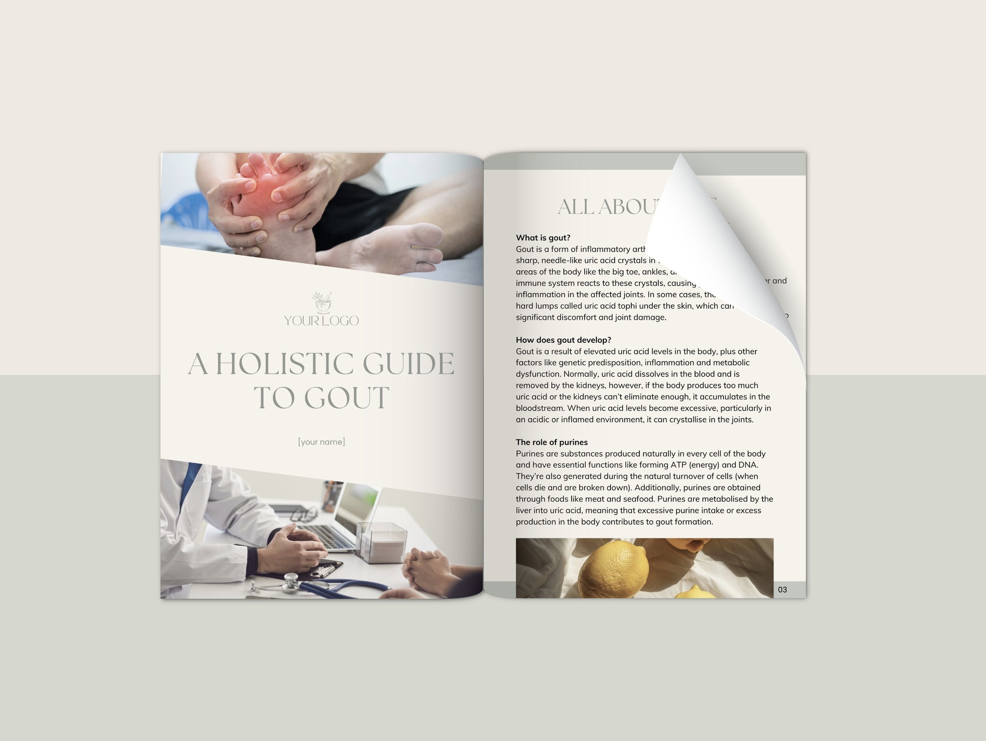 Gout booklet for naturopaths and functional medicine practitioners