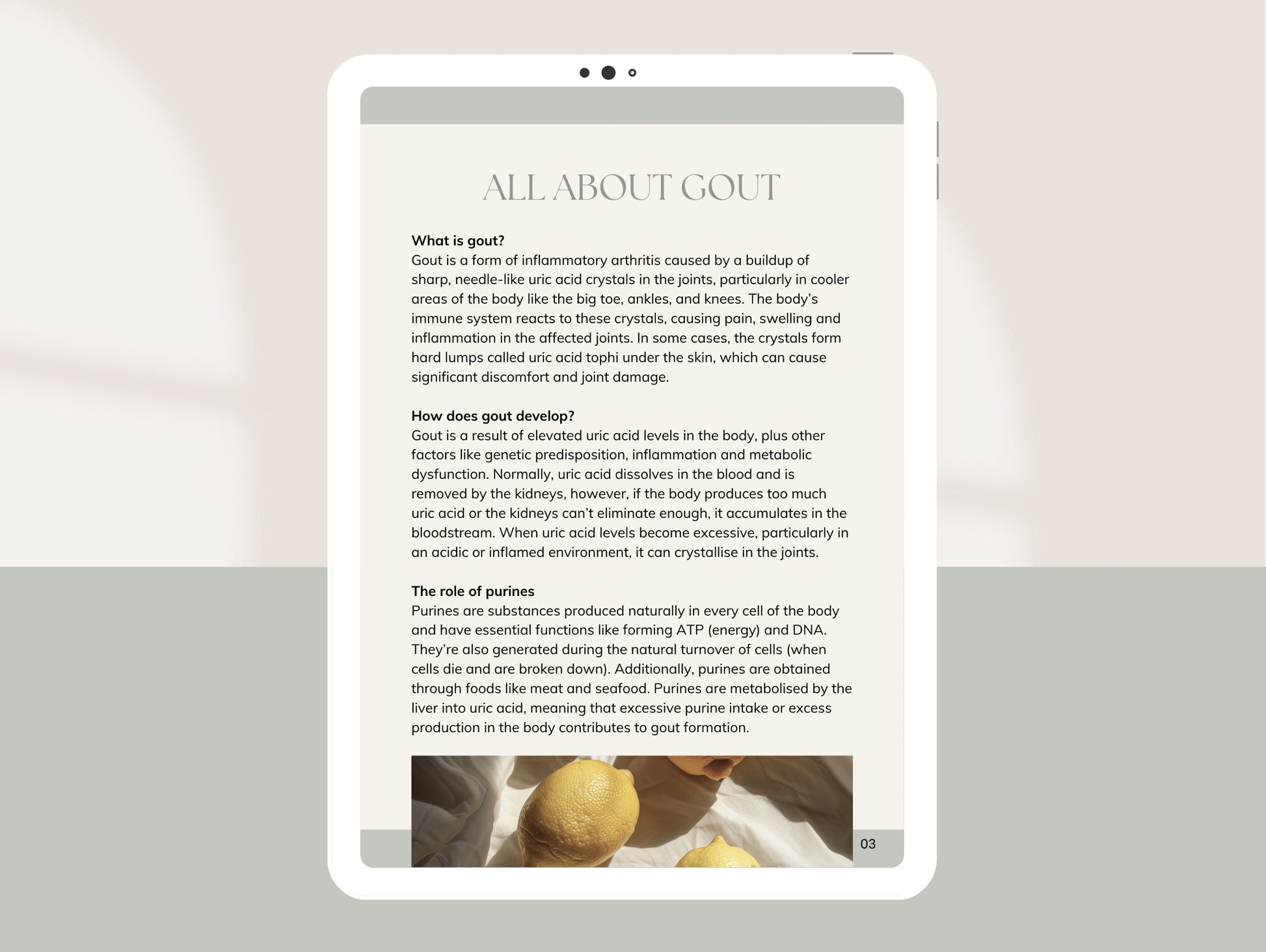 Client-ready gout booklet for functional medicine practitioners