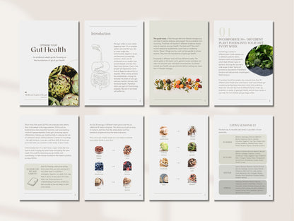 Done-for-you gut health PLR guide for dietitians and wellness practitioners