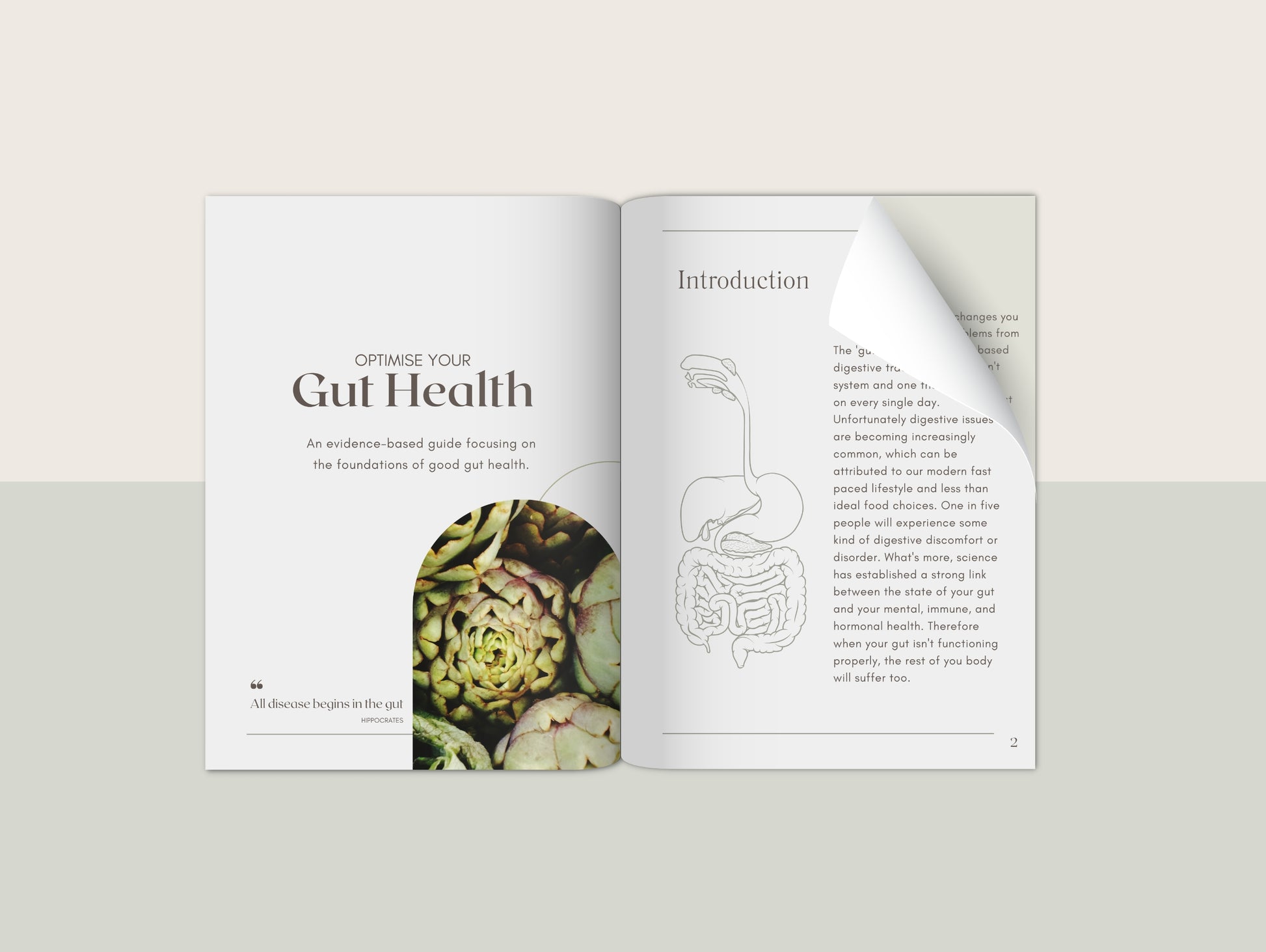 Gut health eBook white label template for naturopaths and nutritionists