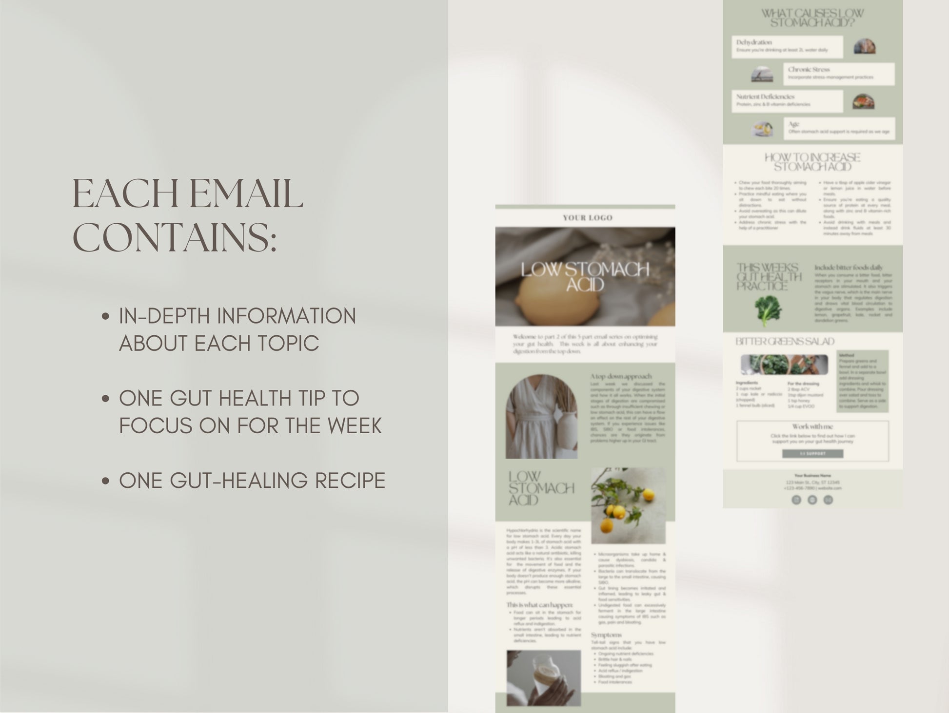 Gut microbiome education email series for holistic health businesses