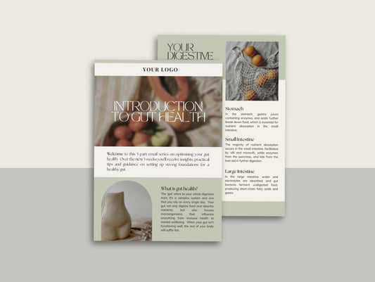 Gut health email series for naturopaths and wellness professionals