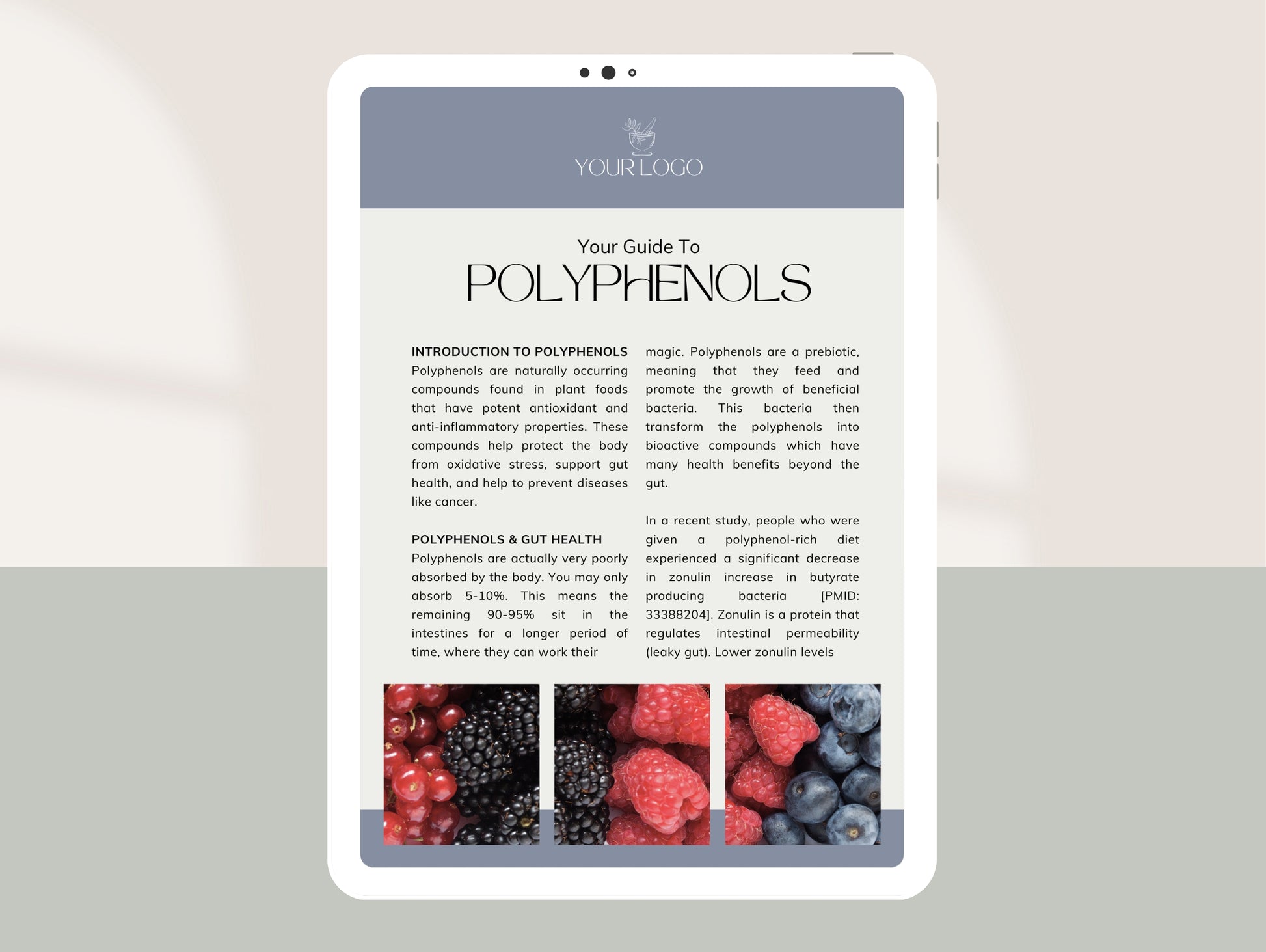 Comprehensive polyphenol intake handout for naturopaths and dietitians