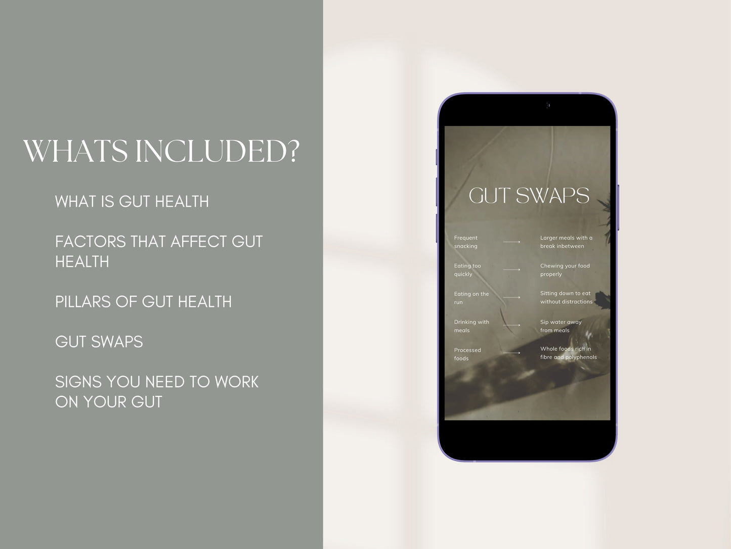 Canva Instagram reels on gut health for holistic practitioners