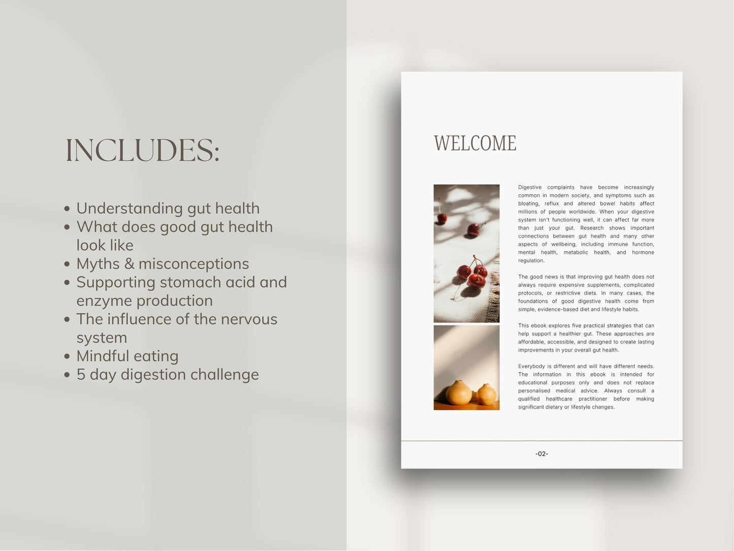 Gut Health Ebook