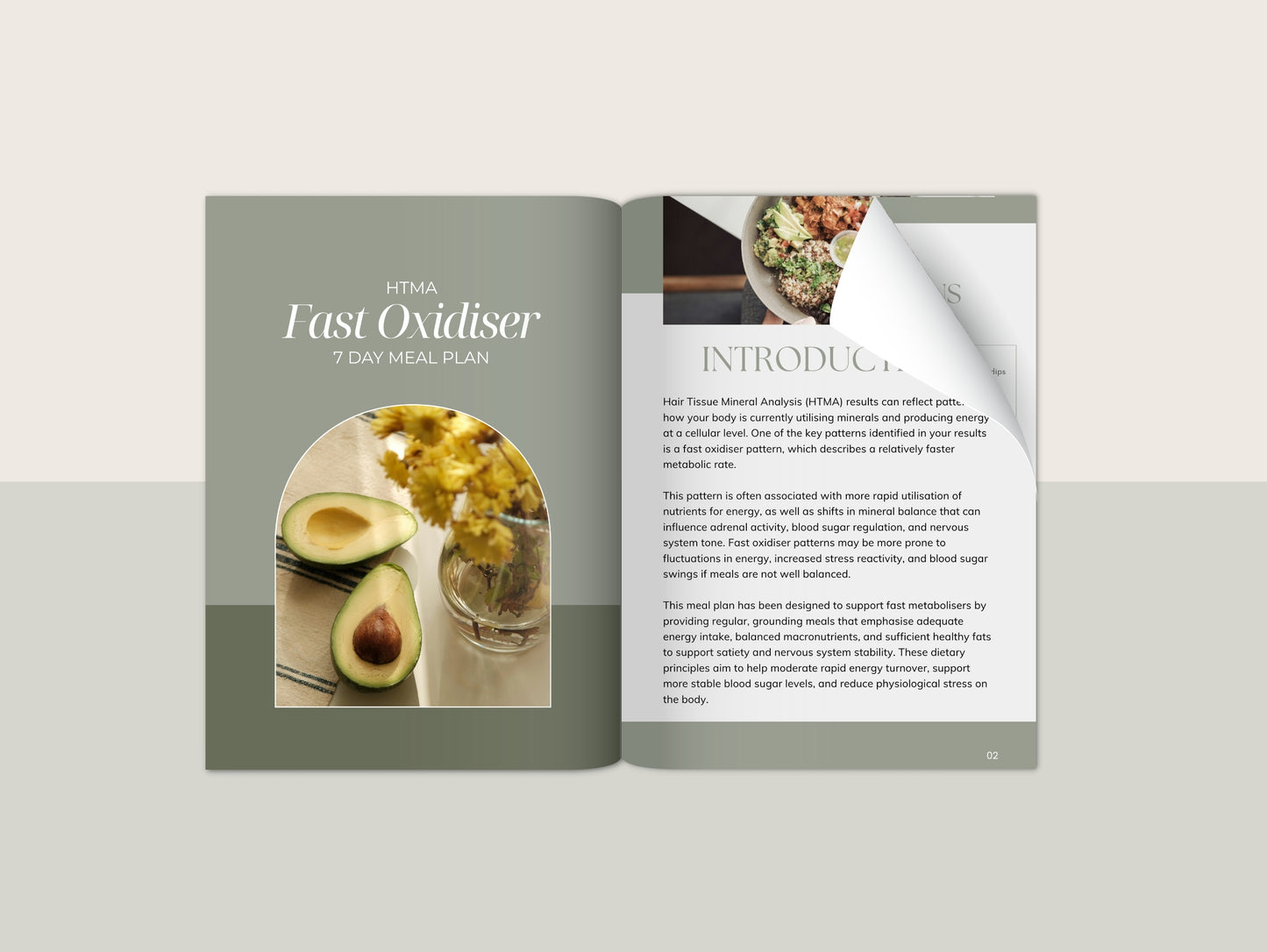 HTMA Fast Oxidiser Meal Plan