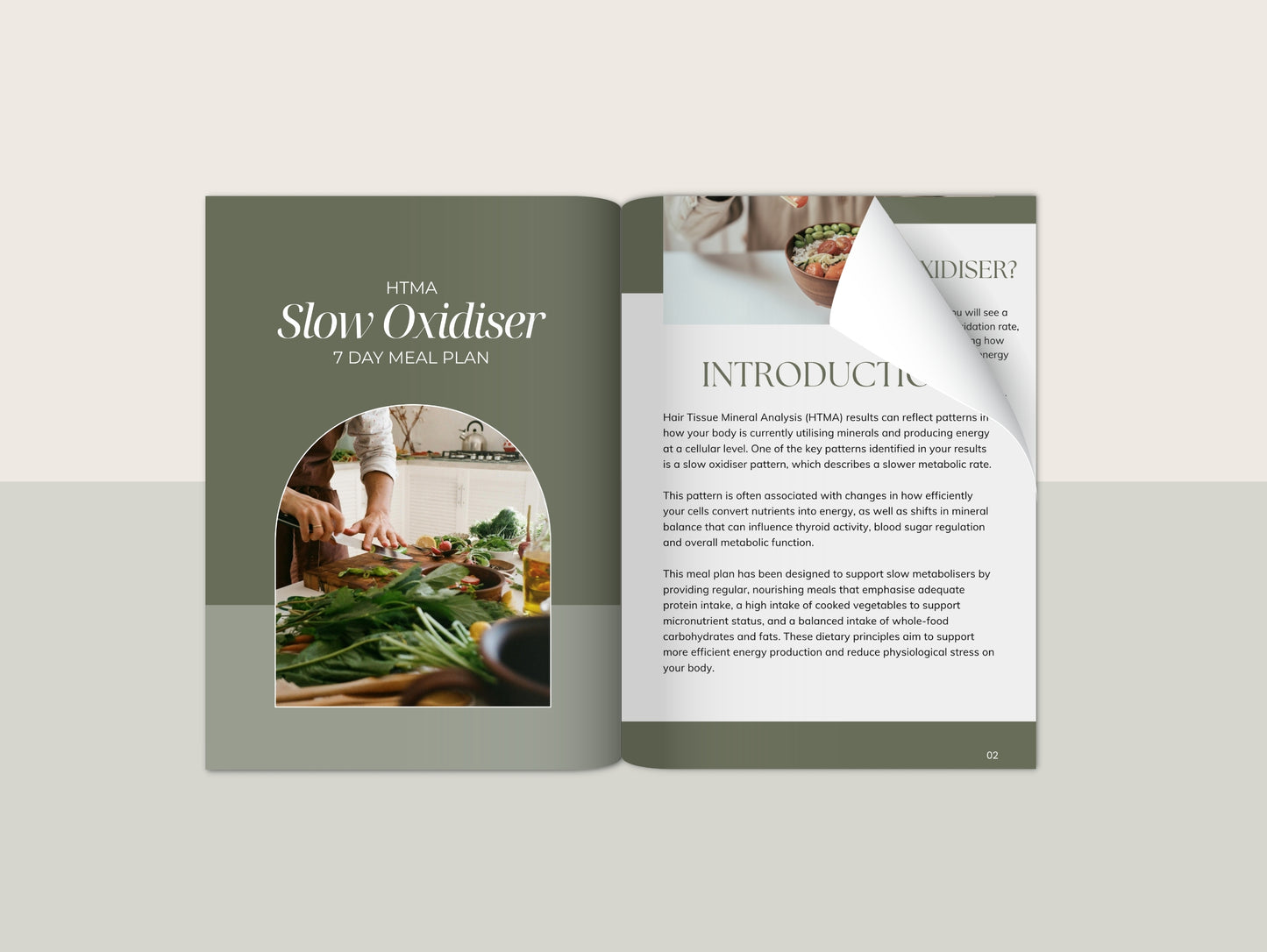 HTMA Slow Oxidiser Meal Plan