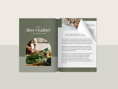 HTMA Slow Oxidiser Meal Plan